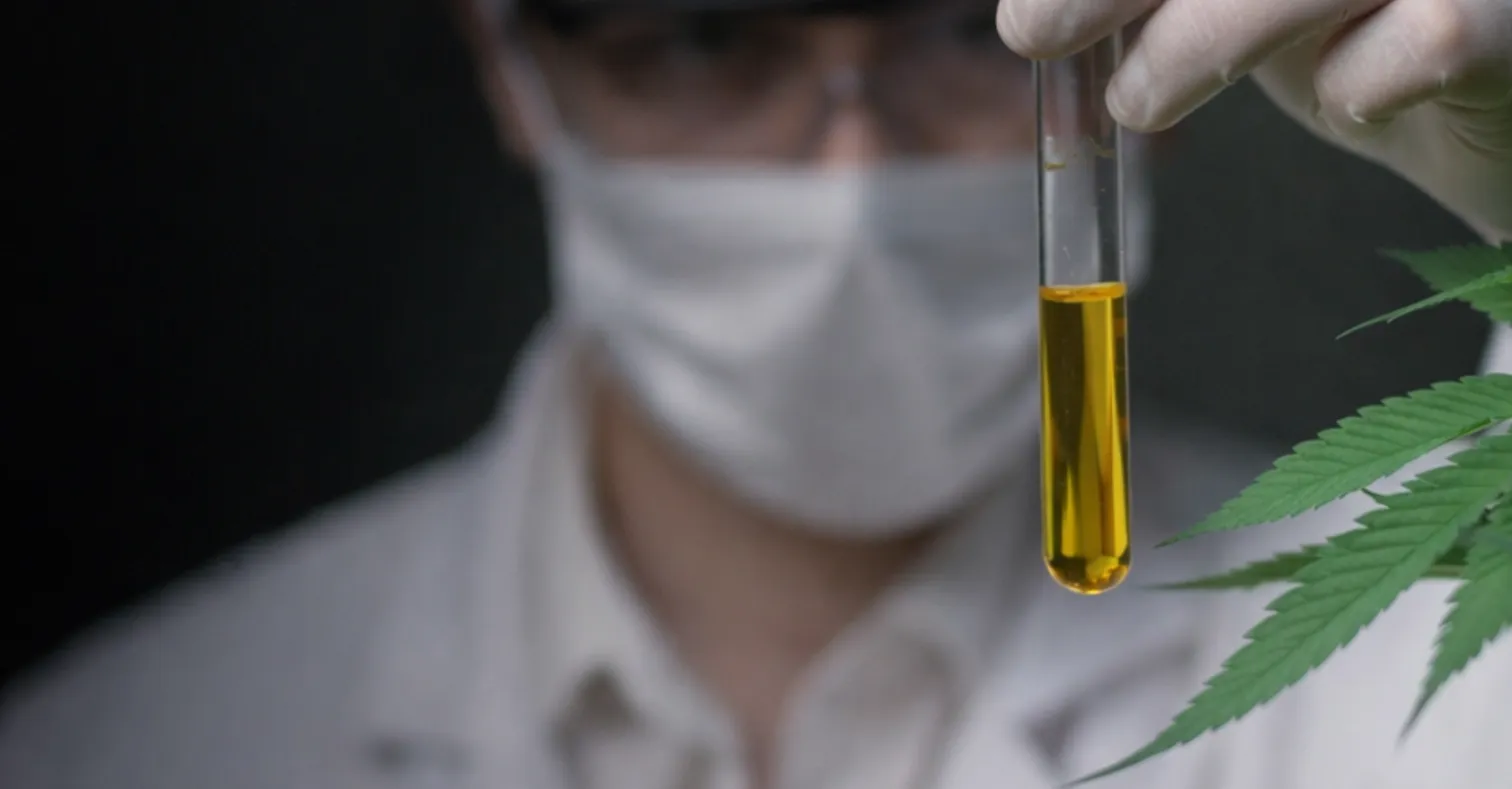 Ciência e Genética de Cannabis